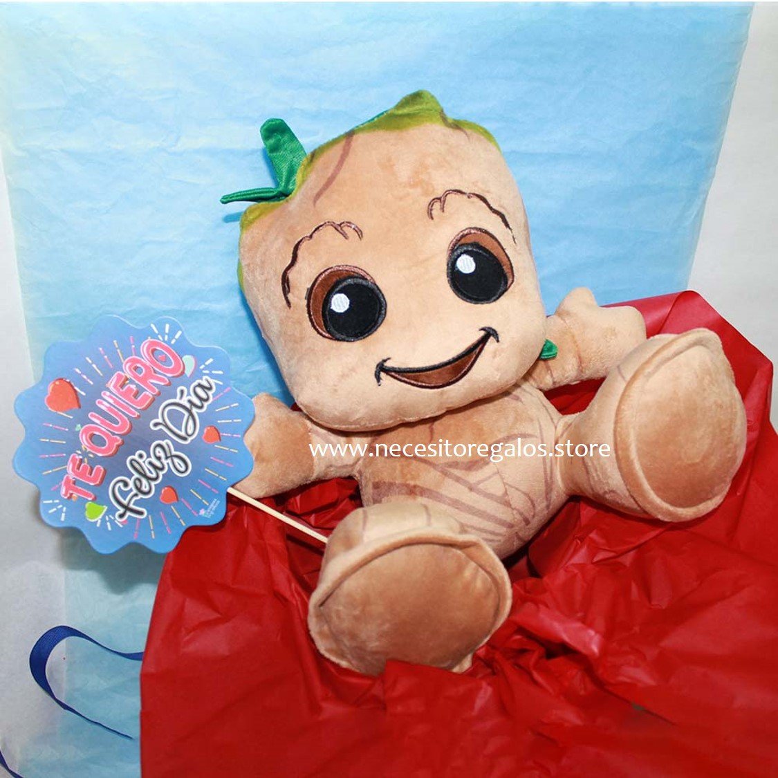 Caja de Regalo Grood