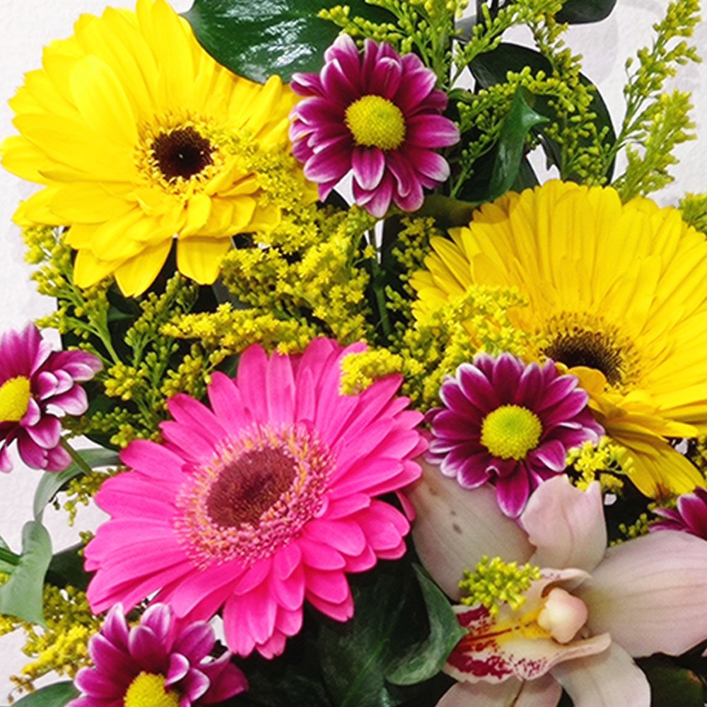 Arreglos de Flores Alegría