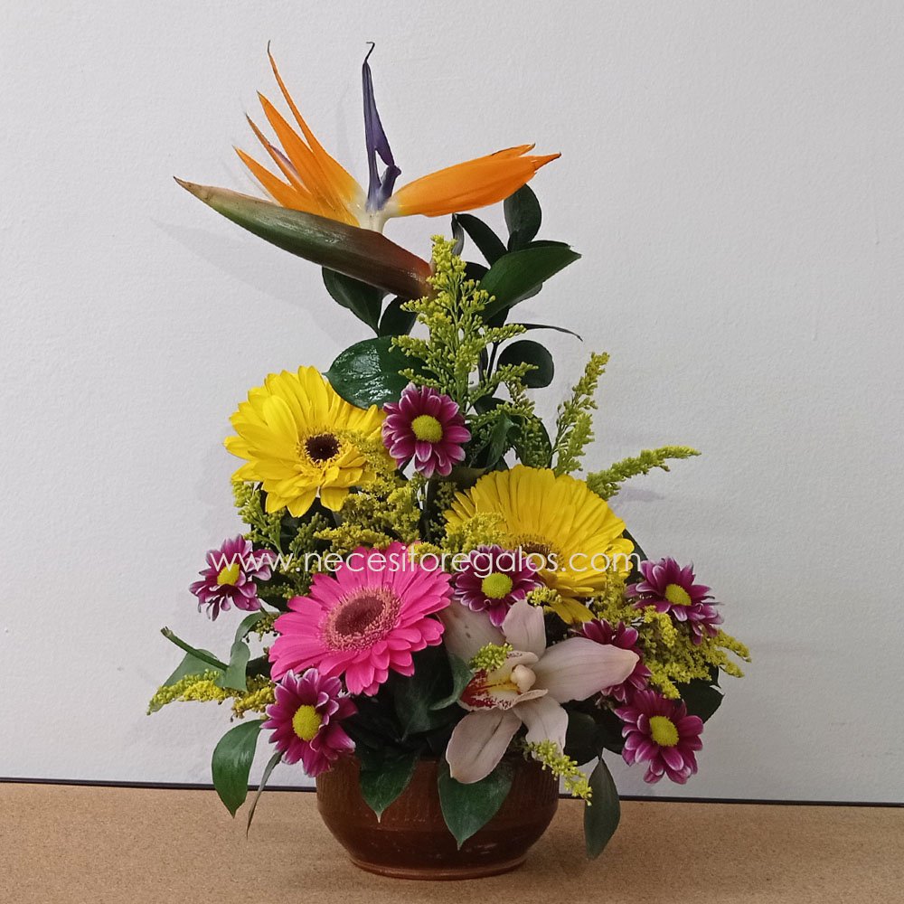 Arreglos de Flores Alegría